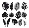 Set of black silhouettes of tropical leaves palms, trees.