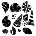 Set of black silhouettes of various seashells with boho pattern. Decorated sea clams and snails. Vector sea object for logos