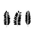 Set of black tree leaf silhouettes.