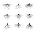 Set of Black Tree Roots. Vector Illustration Royalty Free Stock Photo