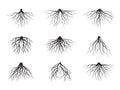 Set of Black Tree Roots. Vector Illustration Royalty Free Stock Photo