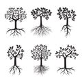 Set of Black Trees and Roots. Vector Illustration. Royalty Free Stock Photo