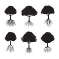 Set of Black Trees with Roots. Vector Illustration.