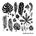 Set of black trendy doodle exotic leaves on a white background. Vector botanical illustration, elements for design.