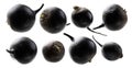 A set of black turnips. Isolated on a white background