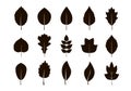 Set of isalated black Leaves. Vector Illustration