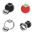 Simple vector icons. Flat illustration on a theme tomato Royalty Free Stock Photo