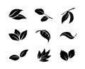 Set of black vector leaf icons on white background