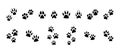 Set of black vector paw prints. Animal prints silhouettes, collection of illustrations for homeless animal shelters Royalty Free Stock Photo