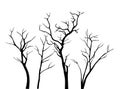 Set of black vector tree branches silhouettes isolated on white background