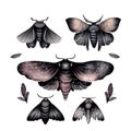 Set of black watercolor Moths and butterflies, gloomy style, isolated illustrations created with Generative AI technology