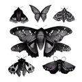 Set of black watercolor Moths and butterflies, gloomy style, isolated illustrations created with Generative AI technology