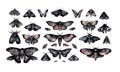 Set of black watercolor Moths and butterflies, gloomy style, isolated illustrations created with Generative AI technology