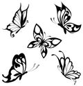 Set black white butterflies of a tattoo