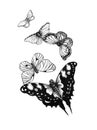 Set black white butterflies of a tattoo Royalty Free Stock Photo