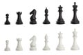 Set of black and white chess pieces Royalty Free Stock Photo