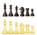 Set of black and white chess pieces Royalty Free Stock Photo