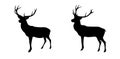 Set black and white deer with horns isolated on background. Vector Illustration. Royalty Free Stock Photo