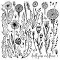 Set of black and white Doodle elements. Dandelions, grass, bushes, leaves, flowers. Vector illustration, Great design Royalty Free Stock Photo