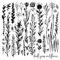 Set of black and white doodle elements, rose, grass, bushes, leaves, flowers. Vector illustration, Great design element Royalty Free Stock Photo