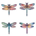 Dragonfly clipart stickers