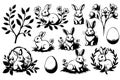 A set of black and white drawings of rabbits and flowers Royalty Free Stock Photo