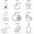 Set of black and white fruit icons. Vector