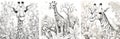 Set of black and white giraffe illustrations for coloring book. Coloring page outline of giraffe. Activity colorless picture of Royalty Free Stock Photo