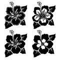 Set of black-white hibiscus flowers with leaves. Flat design elements. Vector illustration Royalty Free Stock Photo