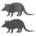 Set of black and white illustration with an armadillo. Isolated vector objects.