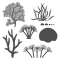 Set of black and white illustrations with corals and algae. Isolated vector objects.