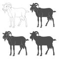 Set of black and white illustrations depicting a goat. Isolated vector objects on a white.
