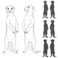 Set of black and white illustrations depicting the meerkats. Isolated vector objects.