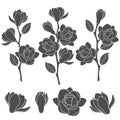 Set of black and white illustrations with flowering magnolia branches. Isolated vector objects.