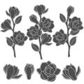 Set of black and white illustrations with flowering magnolia branches. Isolated vector objects.