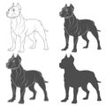 Set of black and white illustrations with a pit bull dog. Isolated vector objects. Royalty Free Stock Photo