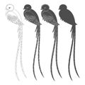 Set of black and white illustrations with a quetzal bird. Isolated vector objects. Royalty Free Stock Photo