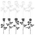 Set of black and white illustrations with roses. Isolated vector objects. Royalty Free Stock Photo