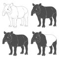 Set of black and white illustrations of tapir. Isolated vector objects. Royalty Free Stock Photo