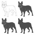 Set Of Black And White Images Of A French Bulldog. Isolated Vector Objects.