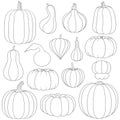 Set of black and white images with pumpkins of different types and shapes. Isolated vector objects.
