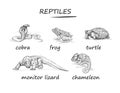 Set of black and white isolated drawings of reptiles. Wildlife animals. Illustrations for encyclopedia, children book, fabric, Royalty Free Stock Photo