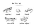 Set of black and white isolated drawings of reptiles. Wildlife animals. Illustrations for encyclopedia, children book, fabric,