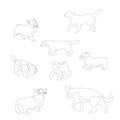 Set of black and white multiple breed dogs, corgi, retriever, shepherd, terrier, spaniel. Isolated on white background