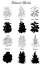 Set of black and white outline flowers -belladonna, succulent, mallow, Venus Flytrap Royalty Free Stock Photo