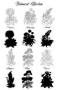 Set of black and white outline flowers - milfoil, aconite, primrose, tobacco Royalty Free Stock Photo