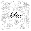 Set of black and white outline Olive branch with leaves and olives isolated on background. design for restaurant, cafe, menu, Royalty Free Stock Photo
