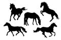 A set of black and white silhouettes of horses running, jumping, bucking and rearing. Vector illustrations. EPS Royalty Free Stock Photo