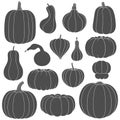 Set of black and white silhouettes with pumpkins of different shapes. Isolated vector objects. Royalty Free Stock Photo
