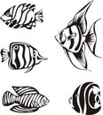 Set of black and white tropical fish Royalty Free Stock Photo
